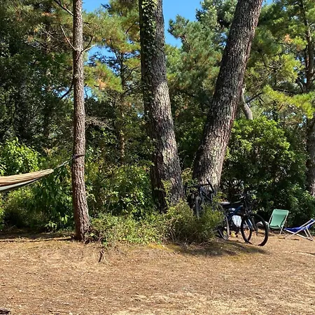 Vakantiehuis De Bord De